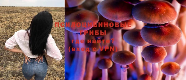 spice Балахна